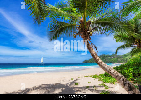 Exotic Tropical Beach Banque D'Images