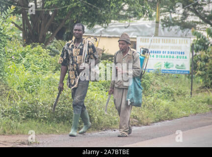 Rues de Cameroun, région sud-ouest, qu'on appelle Terre Syndication Banque D'Images