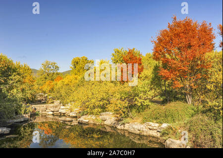 Beijing, Beijing, Chine. 1er novembre 2019. ¯Â¼Å Ã Beijing'CHINE-Photo prise le 31 octobre 2019 présente le jardin botanique de Beijing à Beijing, Chine.à l'heure actuelle, le jardin botanique de Beijing a adopté une balayeuse intelligente pour nettoyer la route principale du parc, ce qui rend plus intelligent et scientifique. Crédit : SIPA Asie/ZUMA/Alamy Fil Live News Banque D'Images