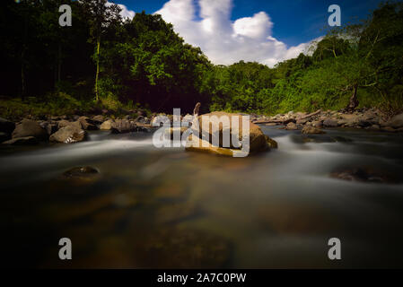 Dans Serinsim Kanarom Sorinsim (rivière), Kota Marudu, Sabah, Malaisie. Banque D'Images