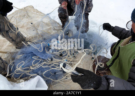 Les hommes prennent part à des filets de pêche d'hiver sur le lac en Russie Banque D'Images