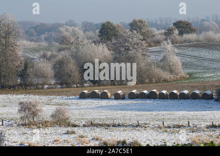 Wiesenlandschaft Verschneite, Wiesen, Weiden, bibelots, Knicks, Hecke, Hecken, Knicklandschaft im Wintereinbruch, novembre, Deutschland, Schleswig-Holste Banque D'Images