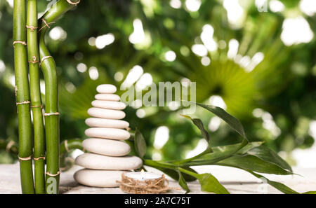 Plus de feuilles de bambou Grean pierres zen blanc pyramide sur fond de feuilles tropicales Banque D'Images