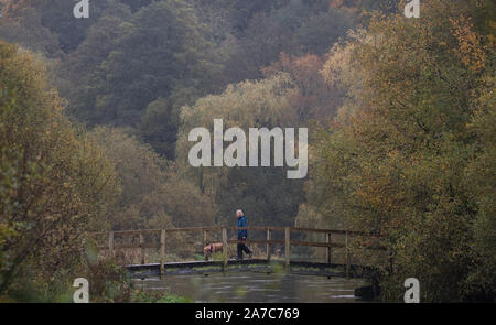 Un chien walker franchit un pont sur la rivière Itchen dans Ovington, Hampshire. Banque D'Images