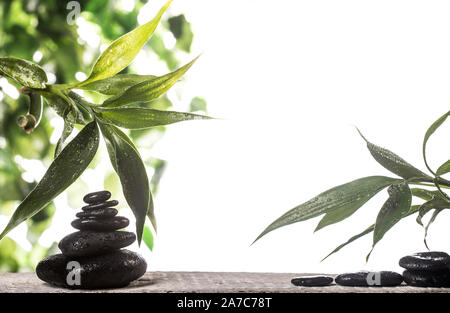 Grean sur des feuilles de bambou zen stones noir pyramide sur fond blanc Banque D'Images