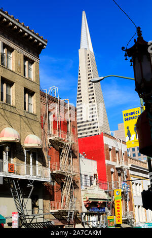 Bâtiments avec échelles de secours et la Transamerica Pyramid derrière. Chinatown, San Francisco, Californie, États-Unis d'Amérique. ÉTATS-UNIS Banque D'Images