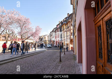 Colmar, France - le 23 mars 2019 : vue sur la vieille ville avec de belles maisons à colombages et rues à Colmar. Banque D'Images