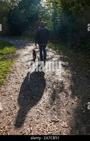 Dog walker cast long shadow. La Solitude, lui n. Solitaire. Banque D'Images