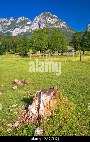 Dans la vallée de Ramsau Berchtesgaden région Alpine vue paysage, région d'Allemagne Bavière Banque D'Images