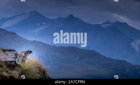 Photo prise pendant le Tour des Glaciers de la Vanoise, le mois d'août, avec 3 enfants. Marmot. Banque D'Images