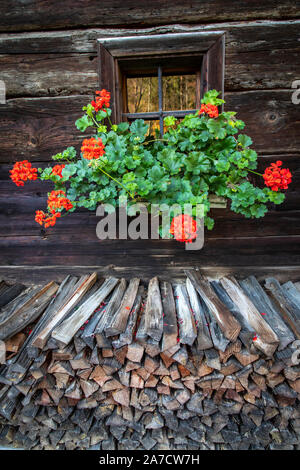 Géranium en face de la fenêtre et tas de bois de ferme autrichienne Banque D'Images