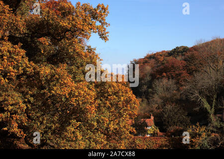Automne couleur rougeoyante et un très joli cottage niché dans la vallée : Court et le flux de Lythe Oakhanger vallée, Selborne, Hampshire, Royaume-Uni : de m'Église Banque D'Images