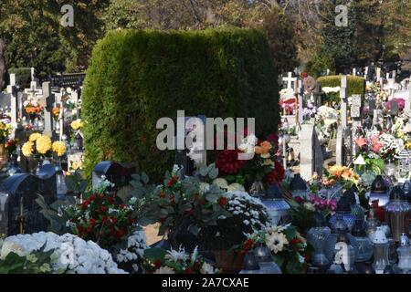 Scinawa, Pologne. 1er novembre 2019. 1 novembre dans tous les Saints' de la Pologne. En ce jour, des poteaux visiter la tombe de leurs proches dans les cimetières, allumer des bougies et déposent des fleurs c'est une tradition en Pologne/Twardysko-Wierzbicki Crédit : Piotr ZUMA Wire/Alamy Live News Banque D'Images