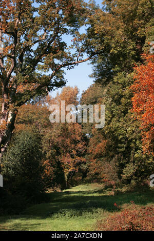 Un sentier à travers bois Dorton en bref, Lythe Oakhanger vallée, Selborne, Hampshire, Royaume-Uni Banque D'Images