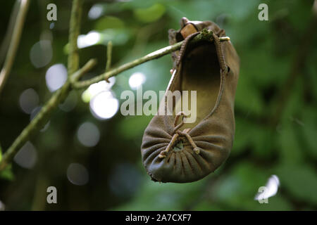 Mocassin perdu : Court, de Lythe Selborne, Hampshire, Royaume-Uni Banque D'Images