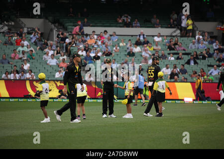 Melbourne, Victoria, Australie. 06Th Nov, 2019. Aéroport international de Gillette T20 Series Match trois Australie v Sri Lanka. Image Crédit : brett keating/Alamy Live News Banque D'Images