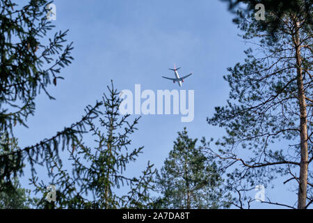 Nuremberg, Allemagne - 30 octobre 2019 : un avion de passagers vu d'en bas tout en volant dans un beau ciel bleu ensoleillé avec arbre d'automne au-dessus de Banque D'Images