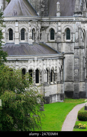 La Cathédrale St Finn Barre, la ville de Cork, County Cork, Ireland Banque D'Images