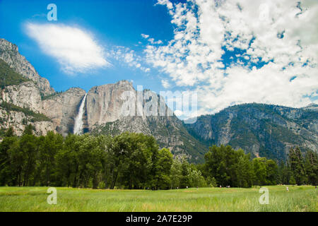 Vue sur les chutes de Yosemite Yosemite Valley Meadows, California, USA. Voisin de : Vue de Tunnel, El Capitan, Bridalveil Falls, demi-dôme, Glacier Po Banque D'Images