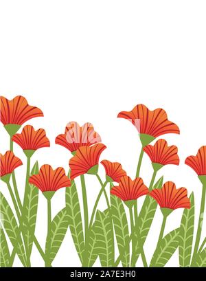 Coquelicots rouges dans une rangée de plantes fleurs rouge télévision vector illustration sur fond blanc. Illustration de Vecteur