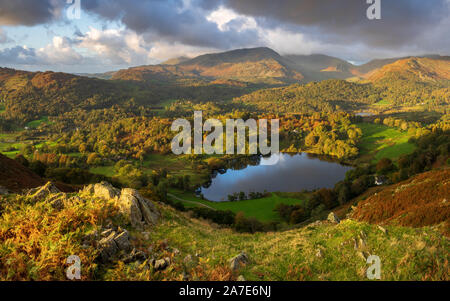 Une faible lumière dorée éclaire la vallée de Langdale automnales autour de Loughrigg Tarn, vu de l'Ivy Crag sur les pentes de Loughrigg est tombé au-dessus. Banque D'Images