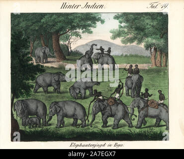 La chasse à l'éléphant dans la région de Pégou (Bago) en Birmanie. Lithographie coloriée de Friedrich Wilhelm Goedsche Vollstaendige Völkergallerie « dans getreuen Abbildungen' (Galerie complète des peuples autochtones en vrai photos), Meissen, circa 1835-1840. Goedsche (1785-1863) était un écrivain allemand, libraire et éditeur à Meissen. La plupart des illustrations ont été adaptés à partir de Bertuch's 'Bilderbuch fur Kinder' et d'autres. Banque D'Images