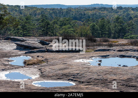 Piscines d'eau de pluie sur le paysage de montagne de granit à Saoudite National Heritage Area près d'Atlanta, en Géorgie. (USA) Banque D'Images