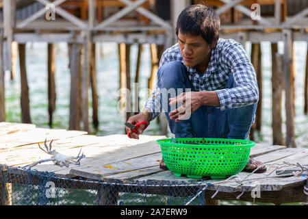 L'île de Phu Quoc Vietnam 2 avril 2019. Un homme vietnamien travaille sur une ferme de crabe dans un village de pêcheurs Banque D'Images