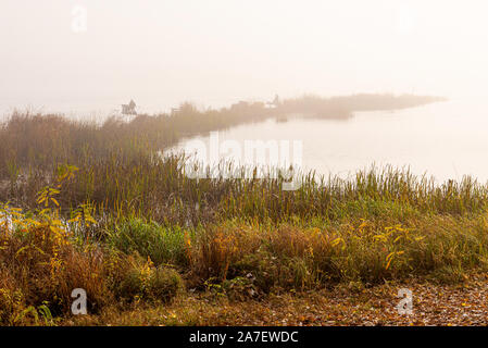 Brouillard d'automne sur le fleuve Dniepr, dans la matinée, à Kiev, Ukraine. Les pêcheurs du brouillard sont la pêche au milieu des anches. Banque D'Images