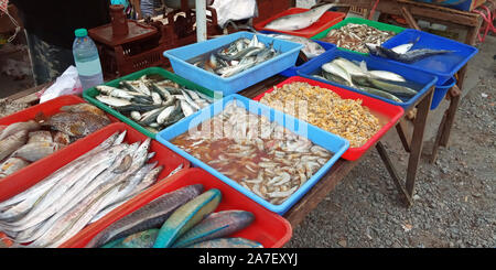 Une variété de fruits de mer dans des contenants vendus dans les marchés traditionnels en Indonésie Banque D'Images