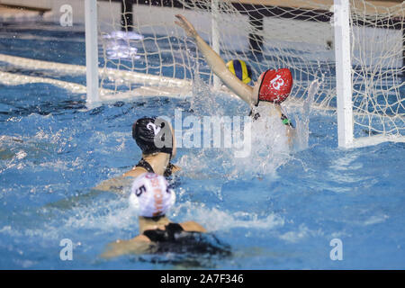 Roma, Italie. 1er novembre 2019. romaduring objectif sis Sis Roma vs ZV De Zaan, Waterpolo EuroLeague Women Championship à Roma, Italie, 01 novembre 2019 - LPS/Luigi Mariani Crédit : Luigi Mariani/fil LPS/ZUMA/Alamy Live News Banque D'Images