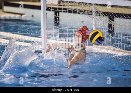 Roma, Italie. 1er novembre 2019. romaduring objectif sis Sis Roma vs ZV De Zaan, Waterpolo EuroLeague Women Championship à Roma, Italie, 01 novembre 2019 - LPS/Luigi Mariani Crédit : Luigi Mariani/fil LPS/ZUMA/Alamy Live News Banque D'Images