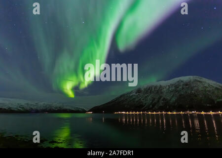 La Northern Lights, Aurora Borealis, vu neat Tromsø, dans le Nord de la Norvège Banque D'Images