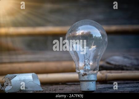 Le comité permanent de l'ampoule sur bois avec la lumière du soleil - Concept de l'économie d'énergie et ont une grande idée. Banque D'Images