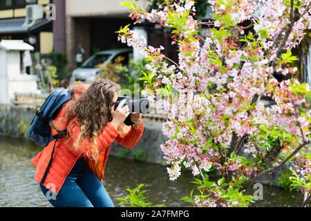 Quartier résidentiel de Kyoto au printemps avec woman taking photo sur Takase rivière canal en avril au Japon, fleur de cerisier sakura fleurs Banque D'Images