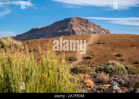 Sentiers autour du mont Teide, Tenerife Banque D'Images