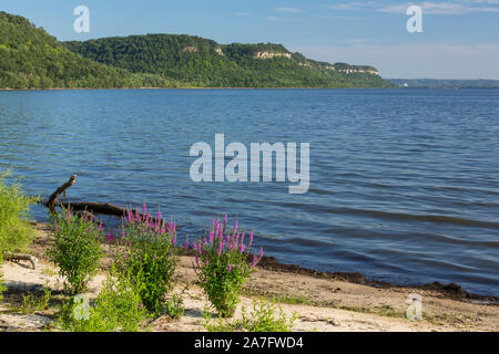 Lake Pepin sur le fleuve Mississippi. Banque D'Images