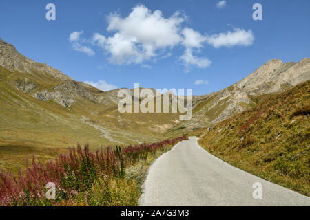 Vue panoramique d'un paysage alpin avec une route de montagne entre pâturages conduisant à Colle dell'Agnello passer à la fin de l'été, Chianale, Piémont, Italie Banque D'Images