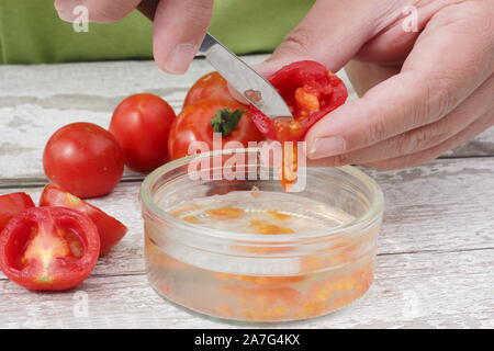 Solanum lycopersicum. Enregistrement de graine de tomate en détachant des graines dans l'eau pour enlever le revêtement avant leur Séchage et entreposage. Banque D'Images