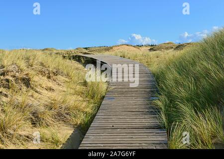 Sentier à bord dans le domaine des dunes, Amrum, au nord de l'île de la Frise, Frise du Nord, Schleswig-Holstein, Allemagne Banque D'Images