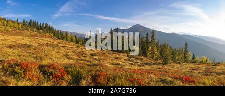 Paysage de montagne d'automne avec des arbustes nains, bouleaux et sapins duveteux, derrière le Naunz Gilfert, Hauptstraße 470, Voralpen, Tyrol, Autriche Banque D'Images