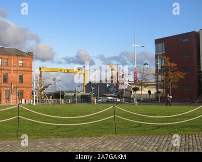 Le réaménagement du front de mer à Queen's Island à Belfast a beaucoup de nouveaux bâtiments, mais les grues Harland & Wolff dominent encore le paysage. Banque D'Images