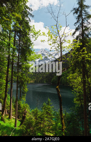 Le lac Eibsee bavarois au pied du Zugspitze couverte de neige avec de l'eau azur clair, ciel bleu et nuages blancs en été (Berlin, Allemagne, Europe) Banque D'Images