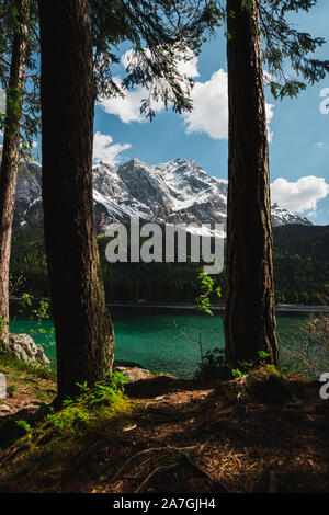 Le lac Eibsee bavarois au pied du Zugspitze couverte de neige avec de l'eau azur clair, ciel bleu et nuages blancs en été (Berlin, Allemagne, Europe) Banque D'Images