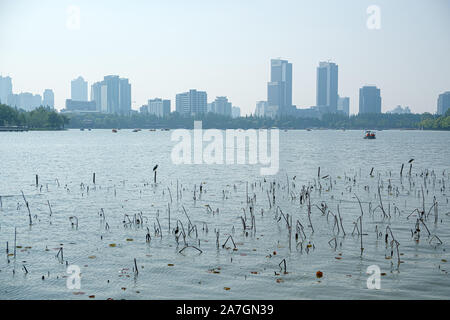 Vue sur Lac Xuanwu au centre-ville de Nanjing, Jiangsu Province, China Banque D'Images