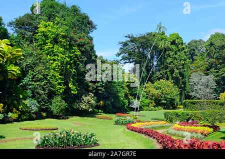 Magnifique parc tropical avec des fleurs, pelouses et arbres Banque D'Images