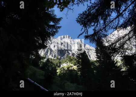 Vue vers le haut vers Admonter Kalbling, Sparafeld dans le parc national du Gesäuse Banque D'Images