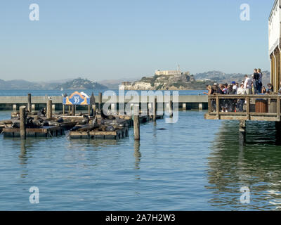 SAN FRANCISCO, CA, États-Unis d'Amérique - 25 octobre 2017 : les touristes regarder la mer lion à pier 39 à san francisco Banque D'Images