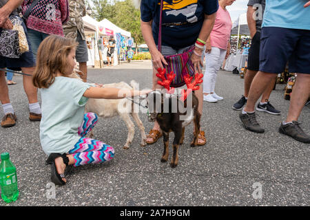 Le 2 novembre 2019, Inverness, FL : Une jolie jeune fille, animaux domestiques un chèvres naines dans toutes les cloches de Noël et panache à une foire d'art local. Banque D'Images