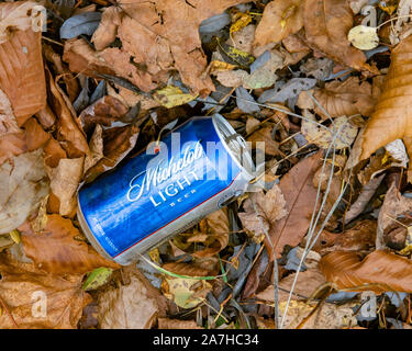 Un bleu vide Michelob Light beer peuvent jeter sur le côté d'un bois road dans les Adirondacks, NY USA en automne Banque D'Images